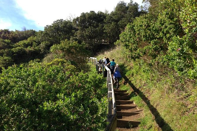 Waiheke Island Private Guided Te Ara Hura Walk - Accommodation and Meals