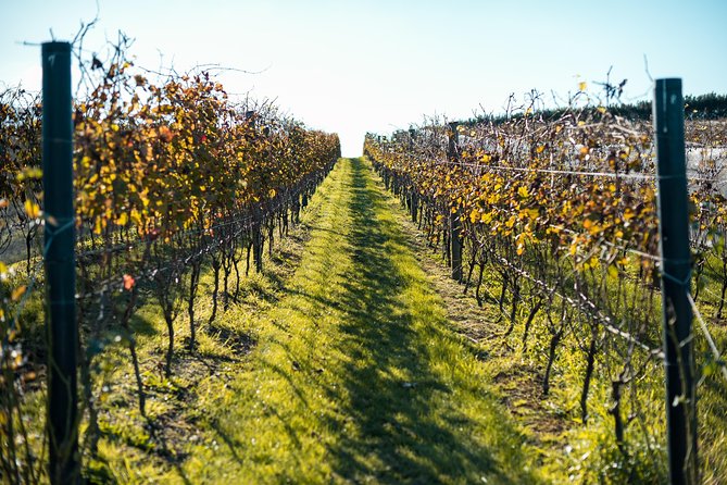 Waiheke Island Private Luxury Experience - Tour Details