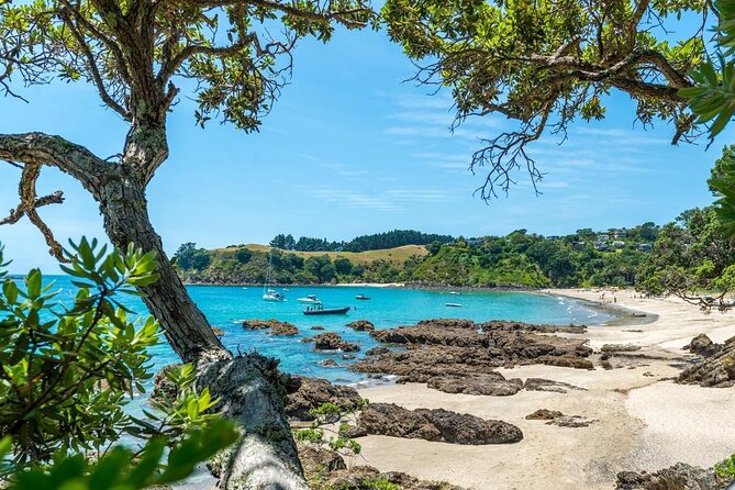 Waiheke Island Private Luxury Experience - Exploring Waihekes Vineyards