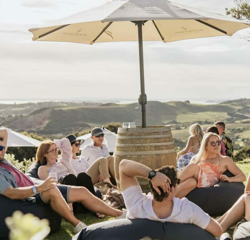 Waiheke Island: Scenic Island Wine Tour & Local Wine Tasting - The Experience: What to Expect