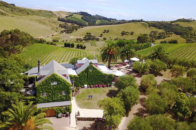 Waiheke Island Scenic Tour Wine+Lunch at Award Winning Restaurant - Inclusions