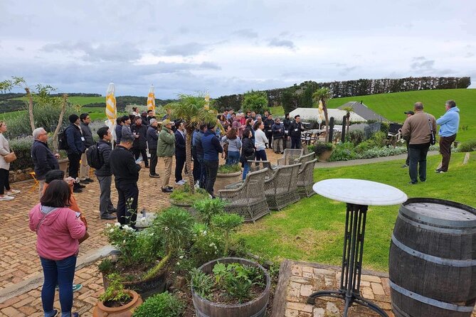 Waiheke Island Scenic Tour Wine+Lunch at Award Winning Restaurant - Customer Feedback Highlights