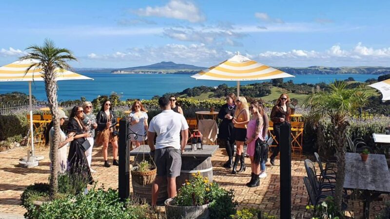 Waiheke Island: Scenic Wine Tour Tasting Wines on Waiheke - Meeting and Transportation