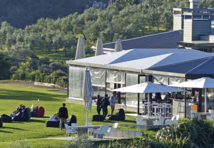 Waiheke Island: Scenic Wine Tour Tasting Wines on Waiheke - Scenic Vistas and Experiences