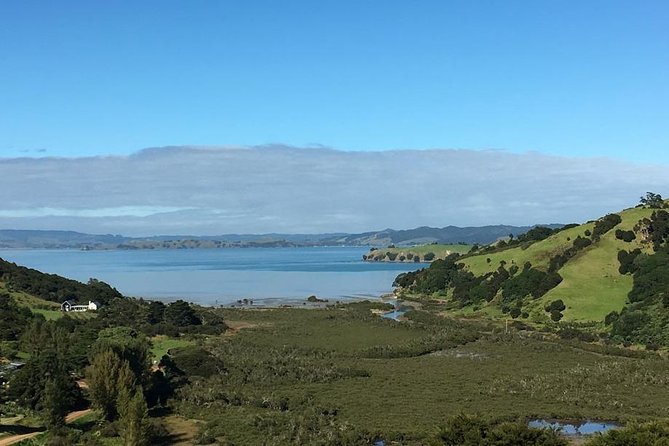 Waiheke Island Vineyards and Bush Walk - Tour Highlights