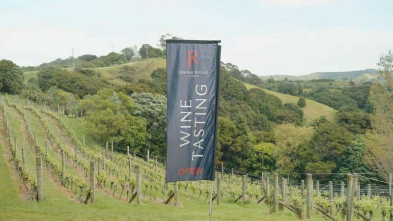 Waiheke Island: Wine, Gin, and Olive Oil Tour with Lunch - Key Points