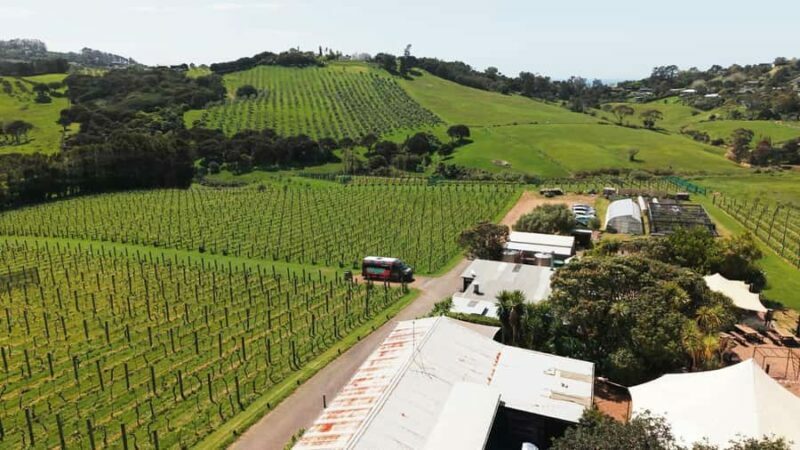 Waiheke Island: Wine, Gin, and Olive Oil Tour with Lunch - Final Thoughts: Who Will Love This Tour?