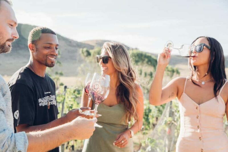 Waiheke Island: Wine Tour & Lunch at Award Winning Venue - Key Points