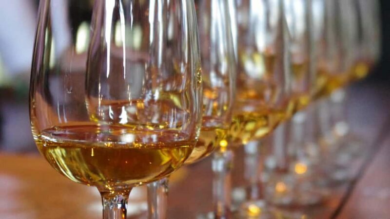 Waiheke Island Wine Tours - PREMIUM Wines - Max 11 clients ! - A Detailed Look at the Waiheke Island Wine Tour