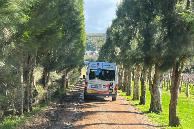 Waiheke Island Winery Tour - Scenic Views and Commentary