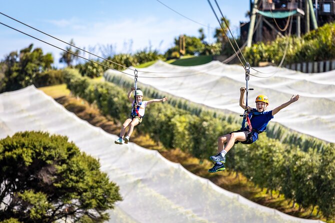 Waiheke Island: Zipline And Forest Walk - Zipline Experience Highlights