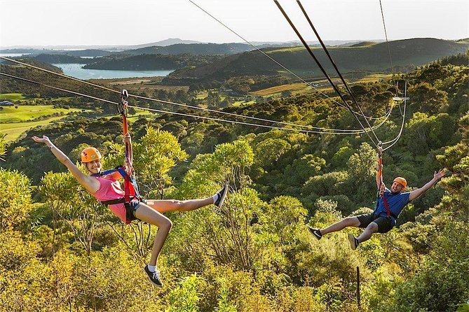 Waiheke Island: Zipline And Forest Walk - Booking Information and Requirements