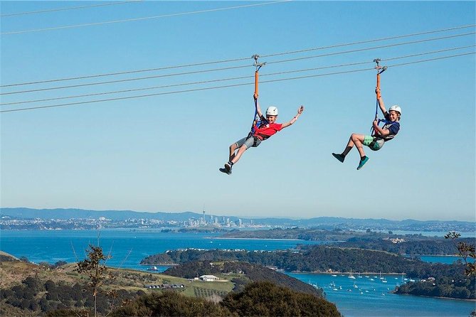 Waiheke Island: Zipline And Forest Walk - Participant Prerequisites