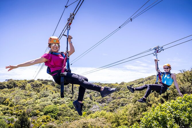 Waiheke Island: Zipline And Forest Walk - Customer Feedback and Reviews