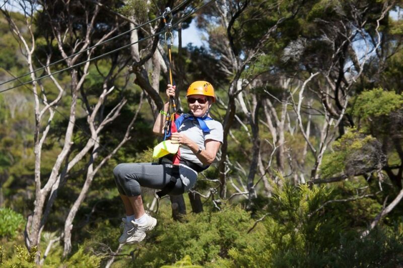 Waiheke Island: Zipline and Native Forest Adventure Trip - Safety Considerations