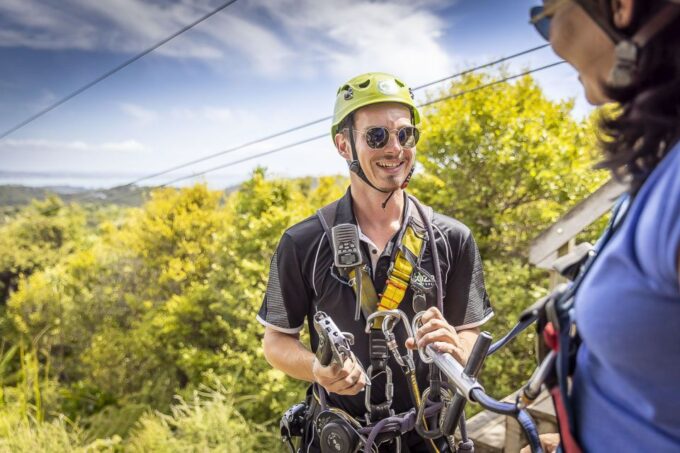 Waiheke Island: Zipline and Native Forest Adventure Trip - Booking and Availability