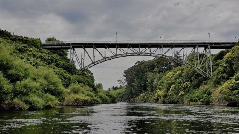 Waikato River: 1-Hour Ecological River Cruise - Key Points