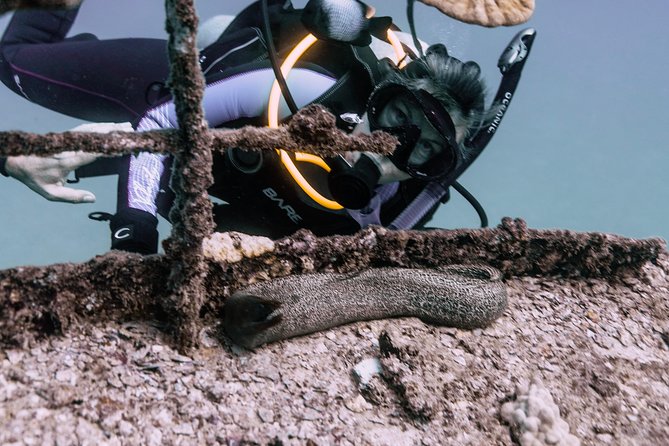Waikiki 2 Tank World Class Wreck SCUBA Diving - Certified Only - Important Policies and Requirements