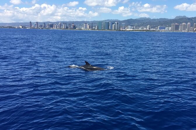 Waikiki Coast Sunrise Sailing Experience - Scenic Views and Relaxation