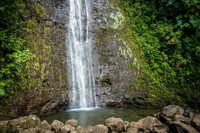 Waikiki Electric Bike Private Tour - Manoa Falls Bike and Hike - Health and Safety Guidelines