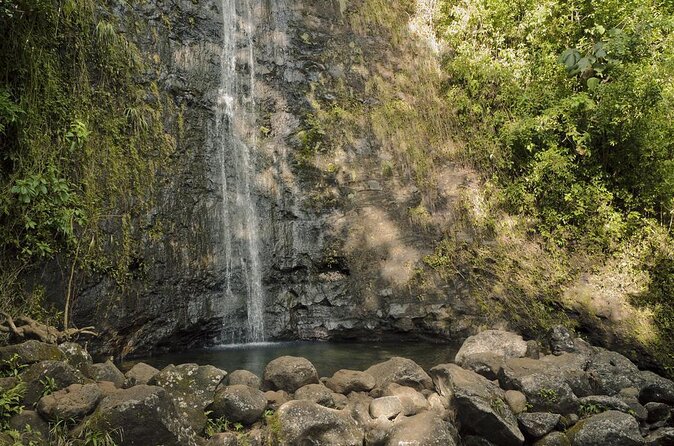 Waikiki Electric Bike Private Tour - Manoa Falls Bike and Hike - Hiking to Manoa Falls