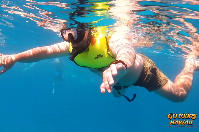 Waikiki Green Sea Turtle Snorkeling Tour - Boat Excursion - Restrictions and Requirements