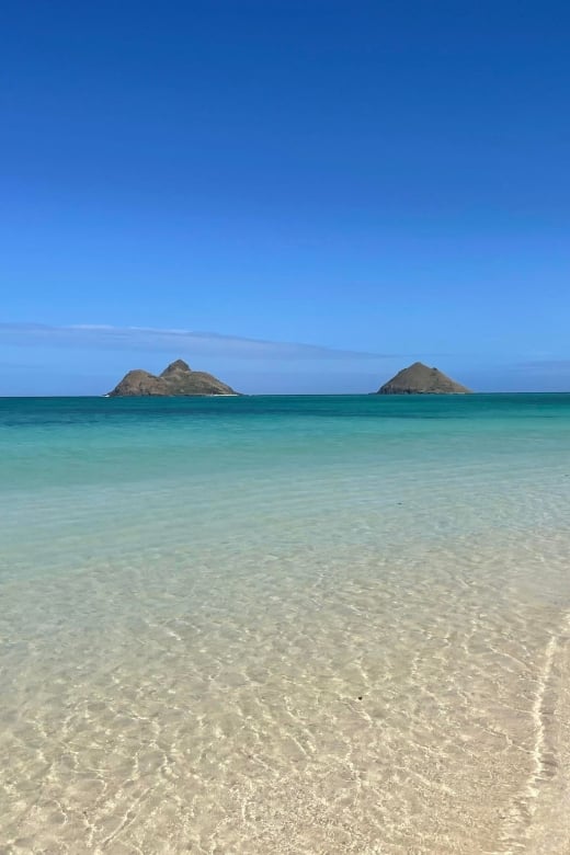 Waikiki: Hidden Hawaii Waterfall Hike and Beach Tour - Key Points