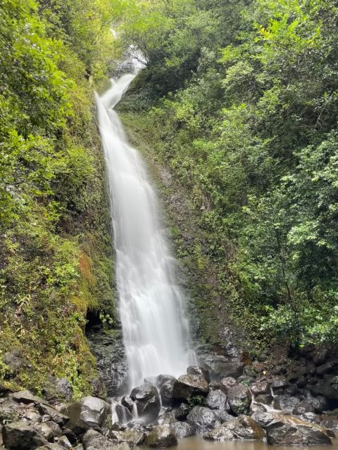 Waikiki: Hidden Hawaii Waterfall Hike and Beach Tour - Itinerary Highlights