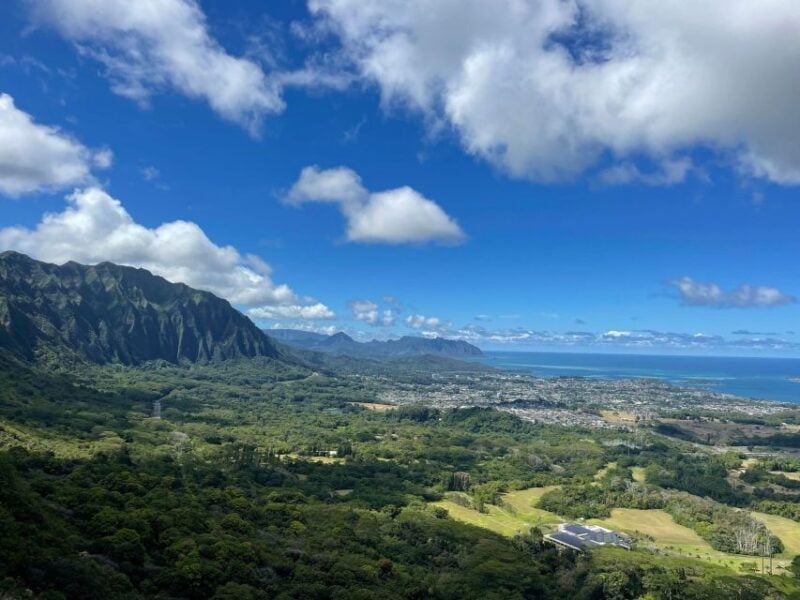 Waikiki: Hidden Hawaii Waterfall Hike and Beach Tour - Lulumahu Falls Experience