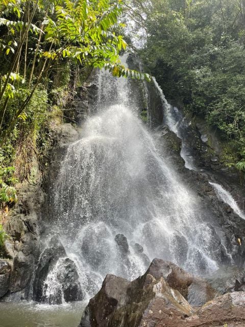 Waikiki: Hidden Hawaii Waterfall Hike and Beach Tour - What to Bring
