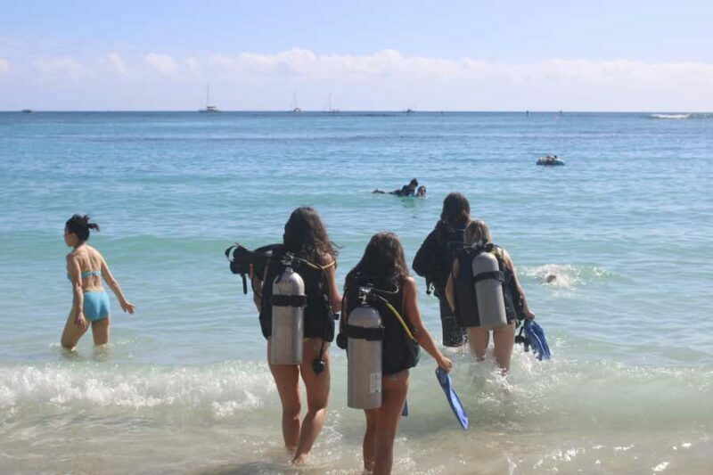 Waikiki: Honolulu Beginner Scuba Diving with Videos - Who Will Enjoy This Tour?