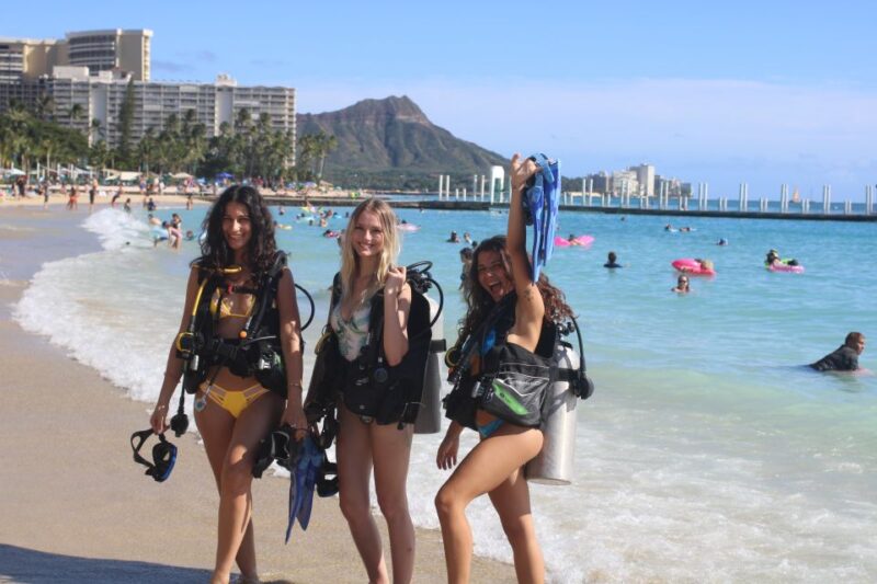 Waikiki: Honolulu Beginner Scuba Diving With Videos - Dive Experience and Safety