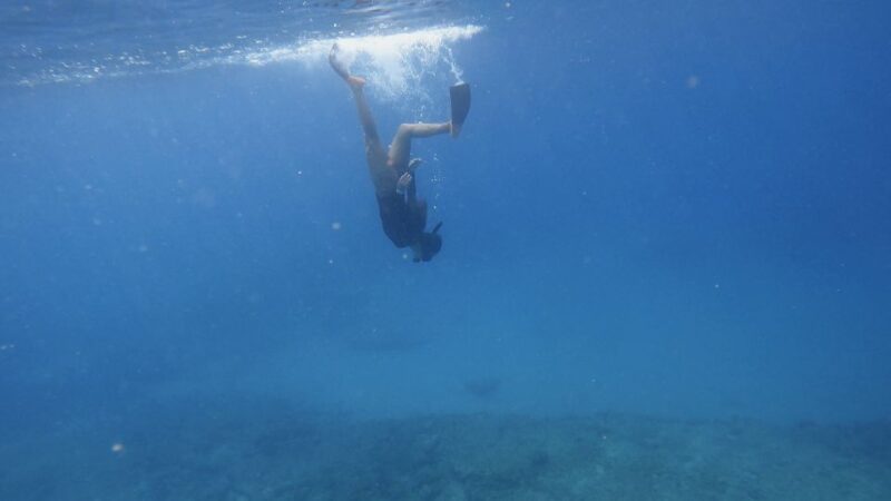 Waikiki: Honolulu Beginner Snorkeling Tour With Videos - Experience Highlights