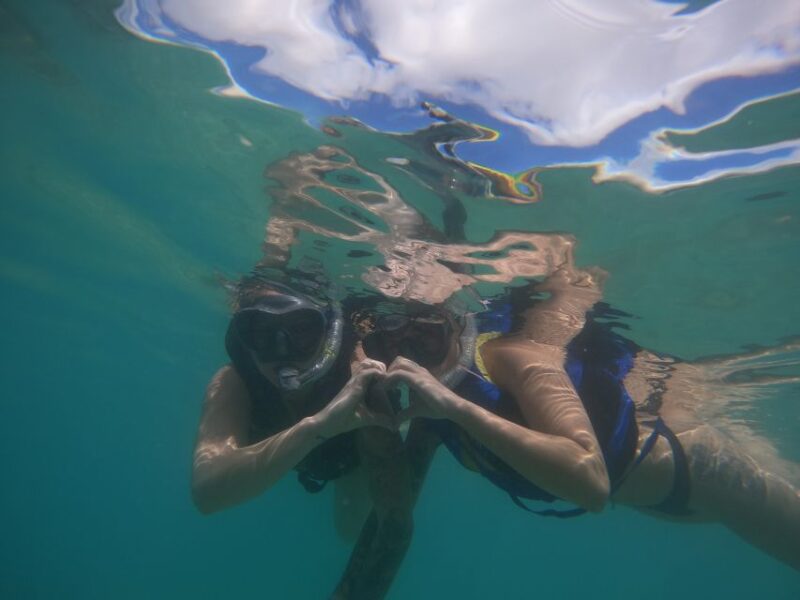 Waikiki: Honolulu Beginner Snorkeling Tour With Videos - Itinerary and Activities