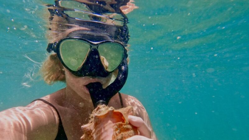 Waikiki: Honolulu Beginner Snorkeling Tour With Videos - Safety Considerations