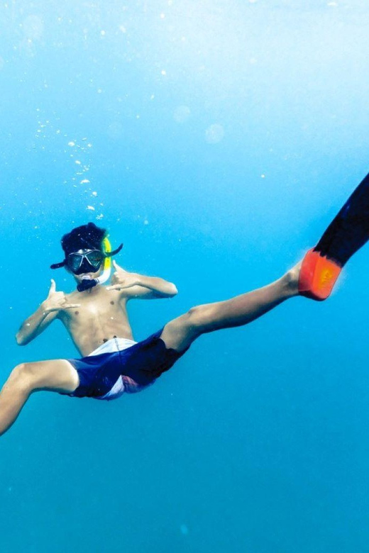 Waikiki: Midday Snorkel - Excursion Details