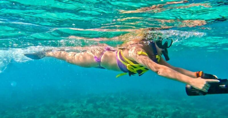 Waikiki: Monk Seal Bay Dolphin and Turtle Jet Snorkel Tour - Experience and Highlights