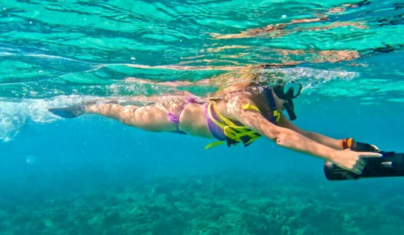 Waikiki: Monk Seal Bay Dolphin and Turtle Jet Snorkel Tour - Inclusions and Safety