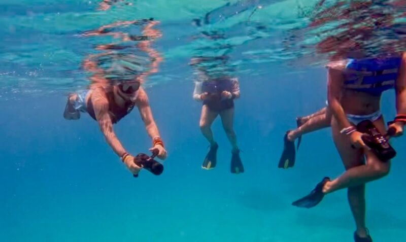 Waikiki: Monk Seal Bay Dolphin and Turtle Jet Snorkel Tour - What to Bring and Preparation