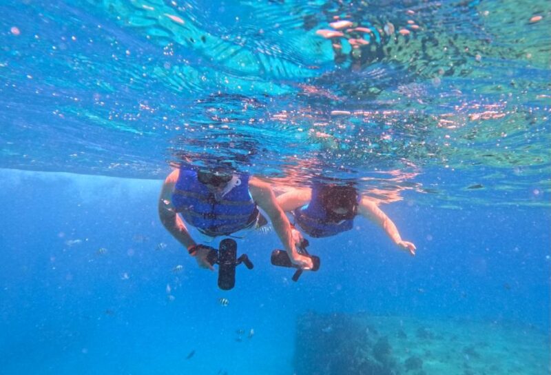 Waikiki: Monk Seal Bay Dolphin and Turtle Jet Snorkel Tour - Customer Reviews and Ratings