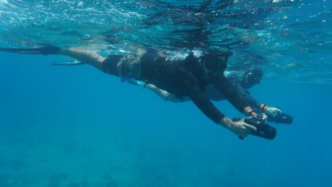 Waikiki: Monk Seal Bay Dolphin and Turtle Jet Snorkel Tour - Wildlife Spotting Opportunities