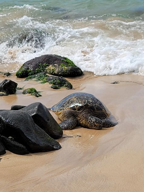 Waikiki: Oahu In a Day Circle Island Tour - Explore Oahus Natural Wonders