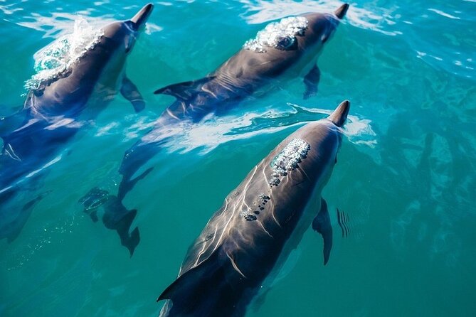 Waikiki Sail and Snorkel Adventure Best of Hawaii - Preparing for the Sailing Excursion