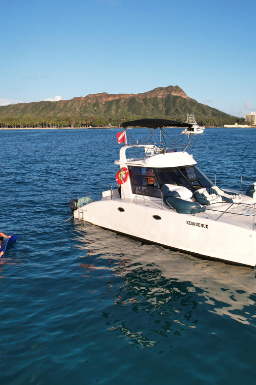 Waikiki: Sea Turtle Snorkeling, Small Group Boat Tour - Included Amenities and Gear