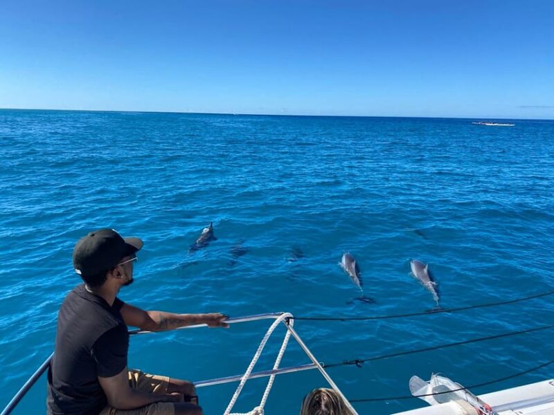 Waikiki: Sea Turtle Snorkeling, Small Group Boat Tour - Important Tour Information and Guidelines
