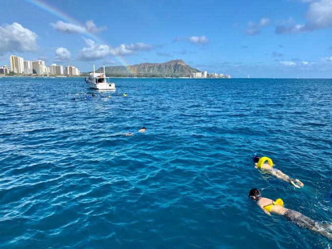Waikiki: Sea Turtle Snorkeling, Small Group Boat Tour - Booking and Cancellation Policy
