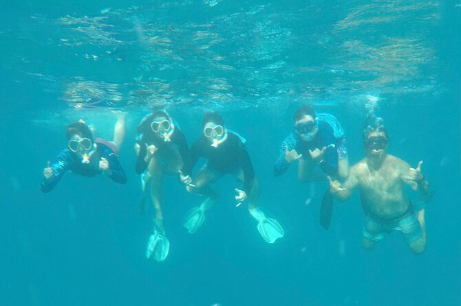 Waikiki Small Group Turtle Snorkeling & Sailing - Additional Considerations