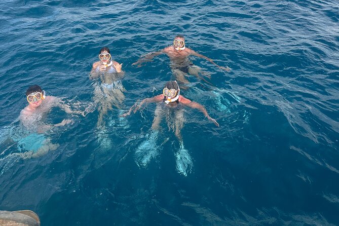 Waikiki Small Group Turtle Snorkeling & Sailing - Soda, Water, and Snacks
