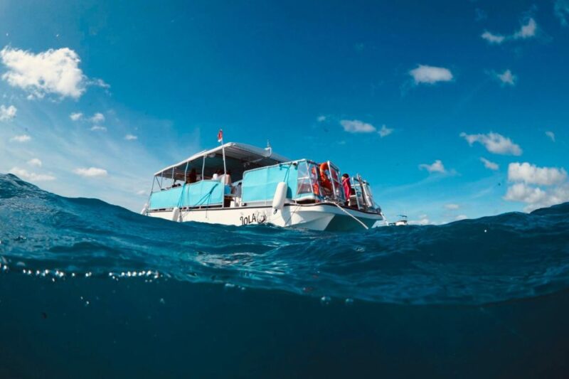 Waikiki: Snorkel Tour With Hawaiian Green Sea Turtles - Pricing Details