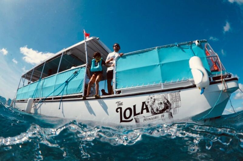 Waikiki: Snorkel Tour With Hawaiian Green Sea Turtles - Snorkel Equipment and Amenities